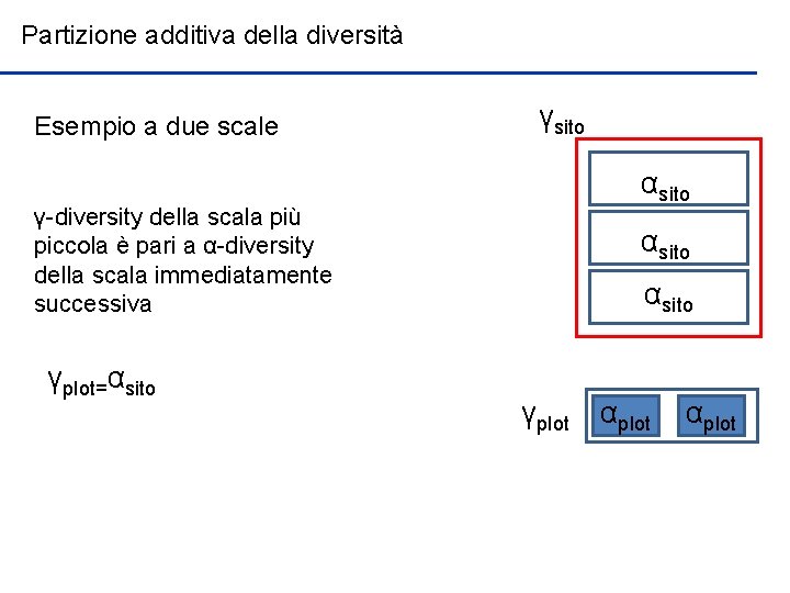 Partizione additiva della diversità Esempio a due scale γsito αsito γ-diversity della scala più