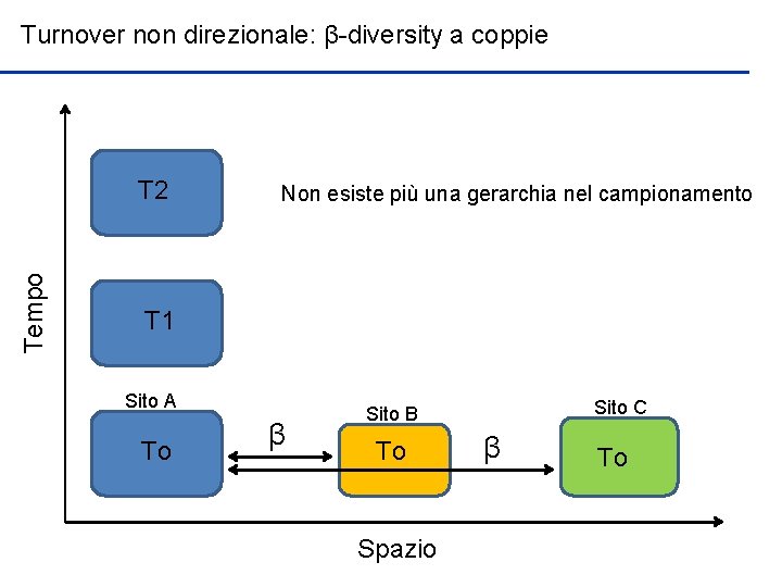 Turnover non direzionale: β-diversity a coppie Tempo T 2 Non esiste più una gerarchia