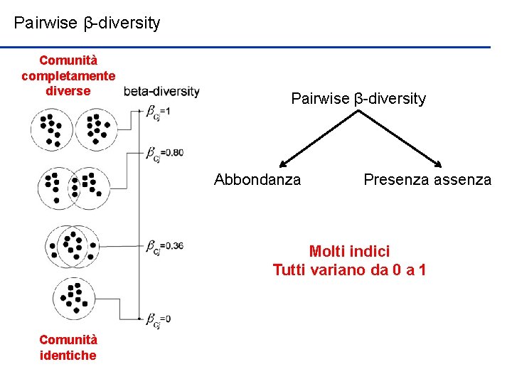 Pairwise β-diversity Comunità completamente diverse Pairwise β-diversity Abbondanza Presenza assenza Molti indici Tutti variano