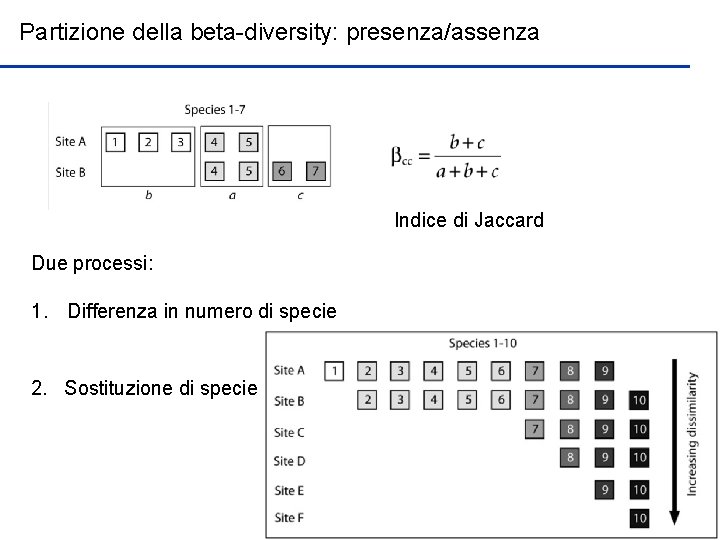 Partizione della beta-diversity: presenza/assenza Indice di Jaccard Due processi: 1. Differenza in numero di