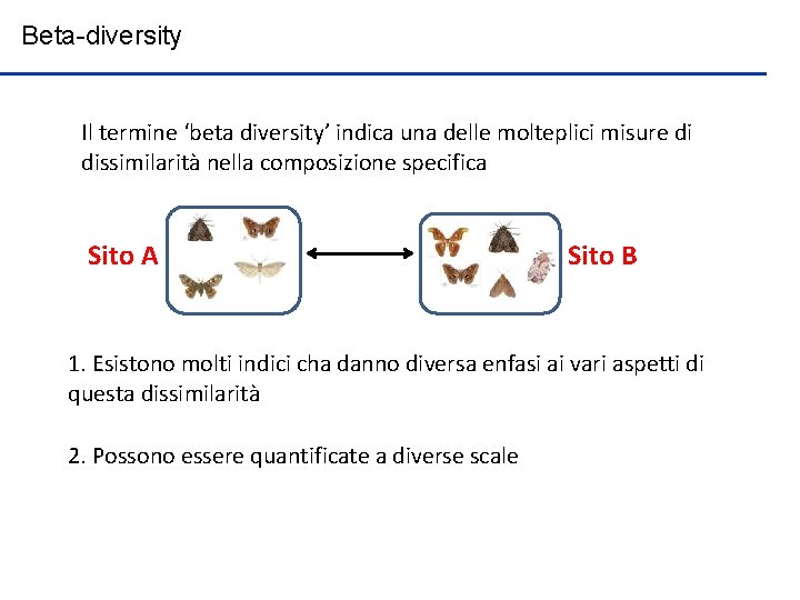 Beta-diversity Il termine ‘beta diversity’ indica una delle molteplici misure di dissimilarità nella composizione