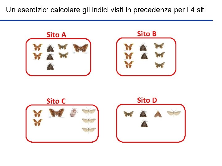 Un esercizio: calcolare gli indici visti in precedenza per i 4 siti Sito A