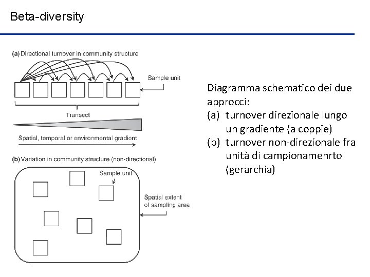 Beta-diversity Diagramma schematico dei due approcci: (a) turnover direzionale lungo un gradiente (a coppie)