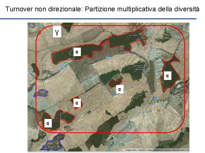Turnover non direzionale: Partizione multiplicativa della diversità γ α α α 