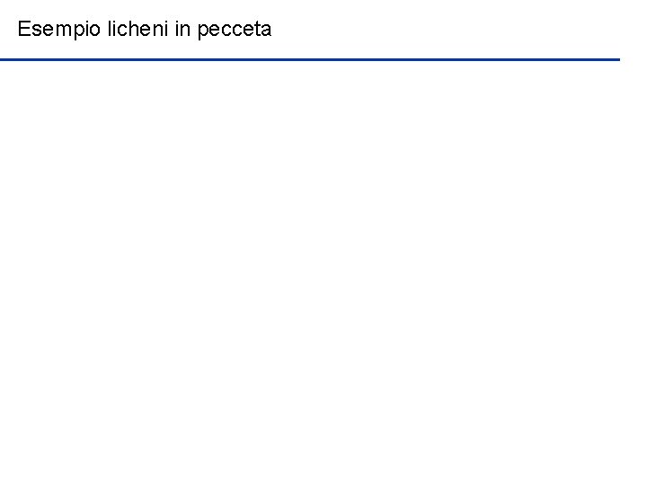 Esempio licheni in pecceta 