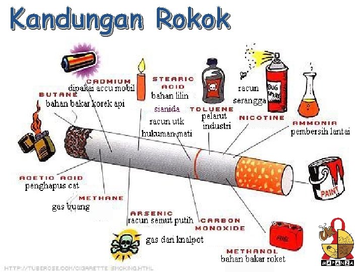 Kandungan Rokok 