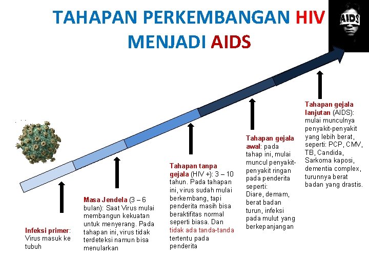 TAHAPAN PERKEMBANGAN HIV MENJADI AIDS Infeksi primer: Virus masuk ke tubuh Masa Jendela (3