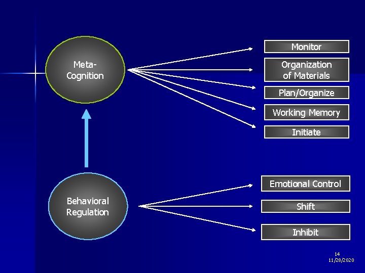 Monitor Meta. Cognition Organization of Materials Plan/Organize Working Memory Initiate Emotional Control Behavioral Regulation