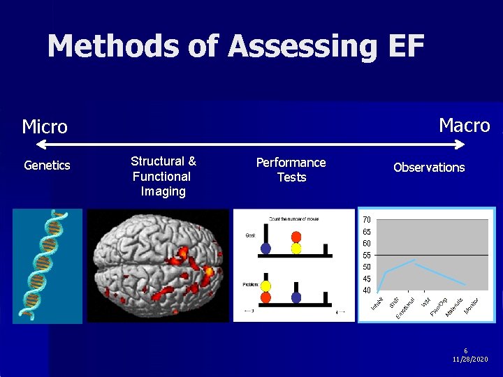 Methods of Assessing EF Macro Micro Genetics Structural & Functional Imaging Performance Tests Observations