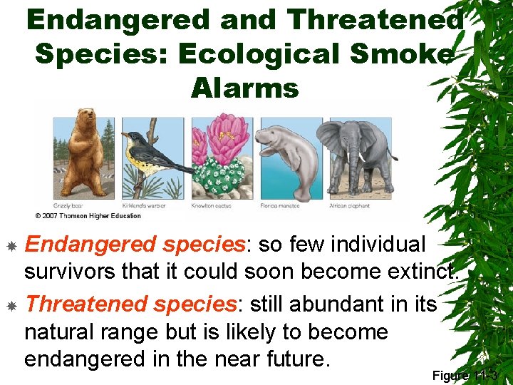 Endangered and Threatened Species: Ecological Smoke Alarms Endangered species: so few individual survivors that