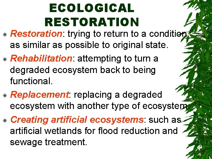 ECOLOGICAL RESTORATION Restoration: trying to return to a condition as similar as possible to