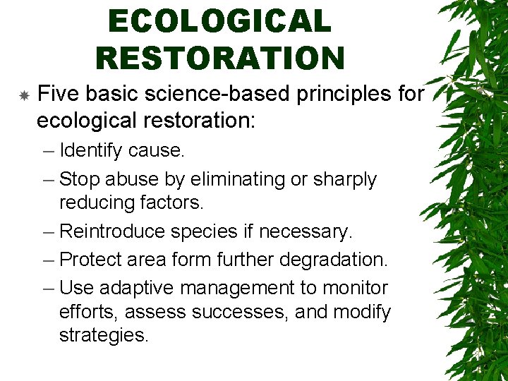 ECOLOGICAL RESTORATION Five basic science-based principles for ecological restoration: – Identify cause. – Stop