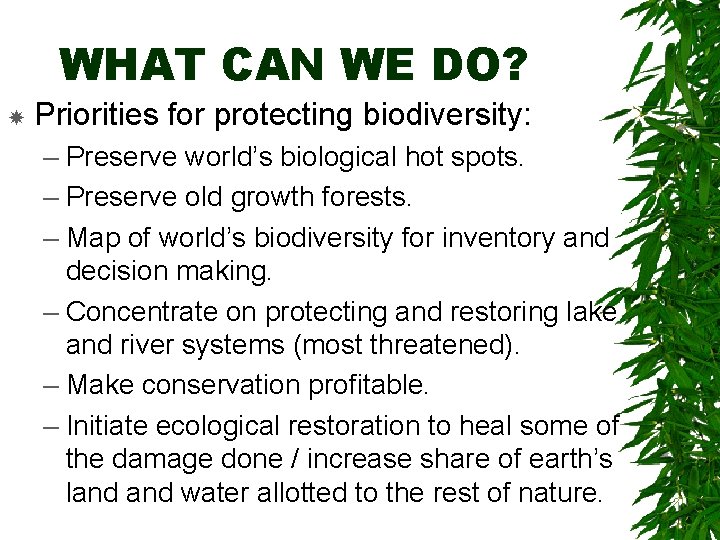 WHAT CAN WE DO? Priorities for protecting biodiversity: – Preserve world’s biological hot spots.