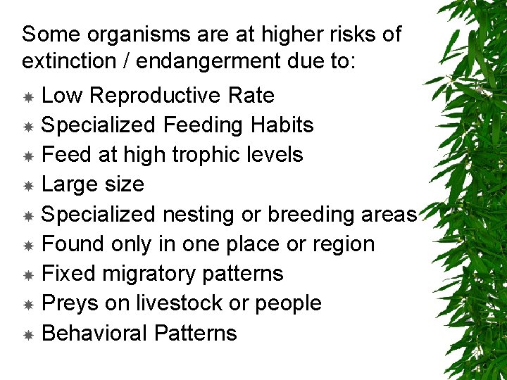 Some organisms are at higher risks of extinction / endangerment due to: Low Reproductive