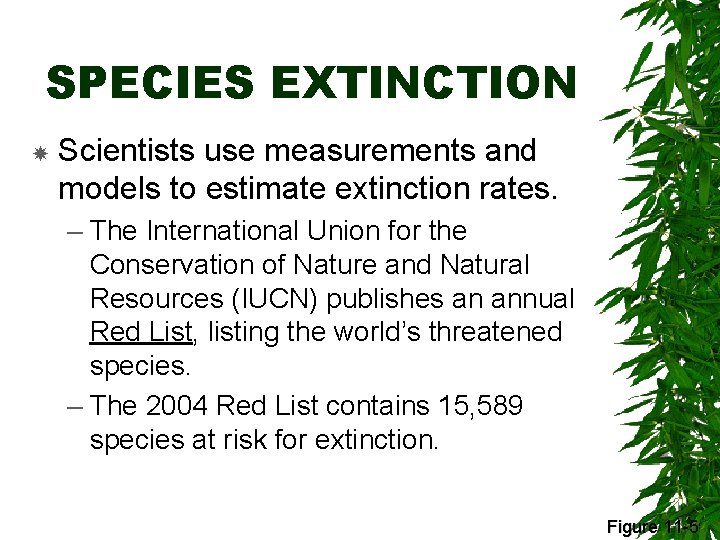 SPECIES EXTINCTION Scientists use measurements and models to estimate extinction rates. – The International