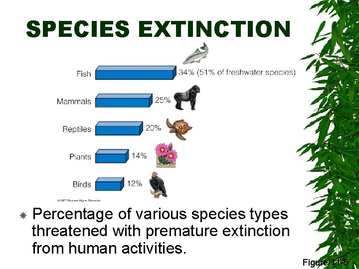 SPECIES EXTINCTION Percentage of various species types threatened with premature extinction from human activities.
