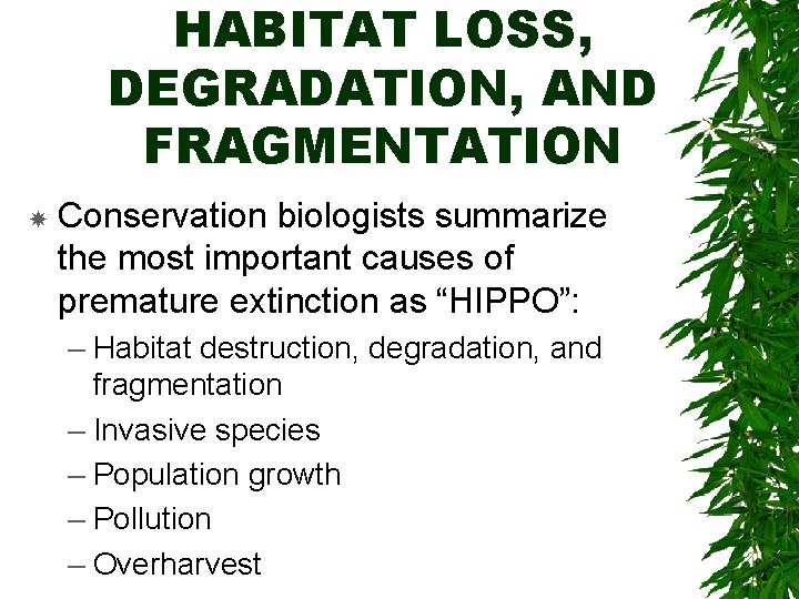 HABITAT LOSS, DEGRADATION, AND FRAGMENTATION Conservation biologists summarize the most important causes of premature