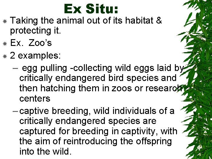 Ex Situ: Taking the animal out of its habitat & protecting it. Ex. Zoo’s