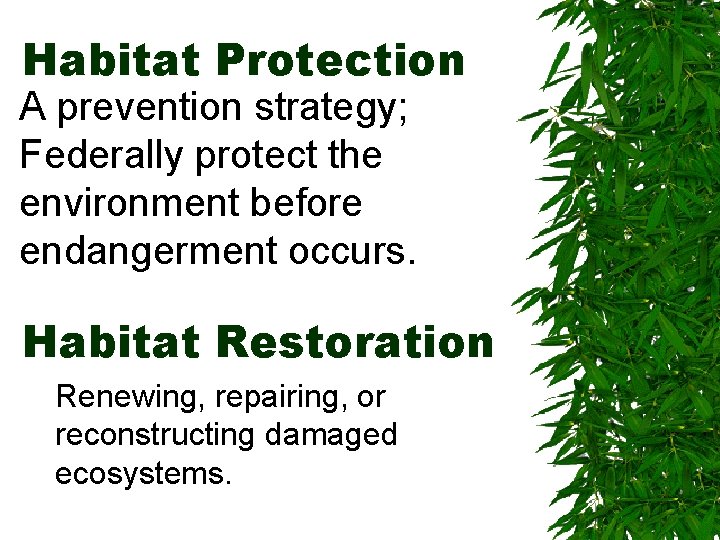 Habitat Protection A prevention strategy; Federally protect the environment before endangerment occurs. Habitat Restoration