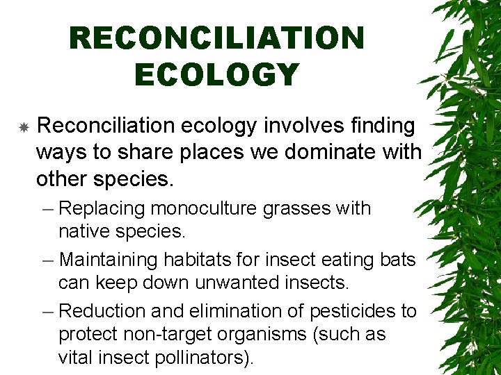 RECONCILIATION ECOLOGY Reconciliation ecology involves finding ways to share places we dominate with other
