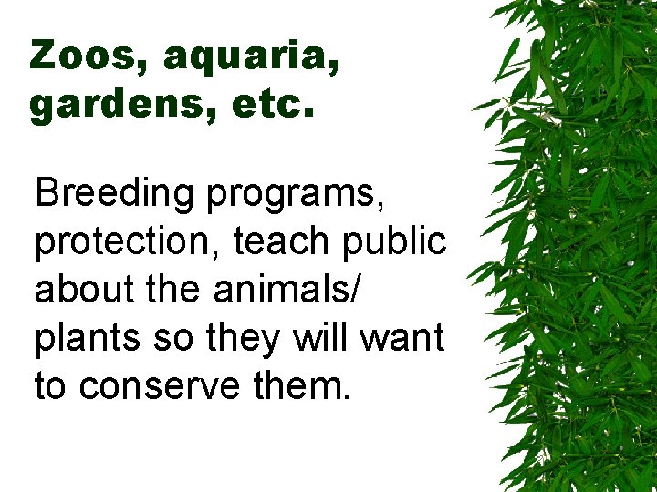 Zoos, aquaria, gardens, etc. Breeding programs, protection, teach public about the animals/ plants so