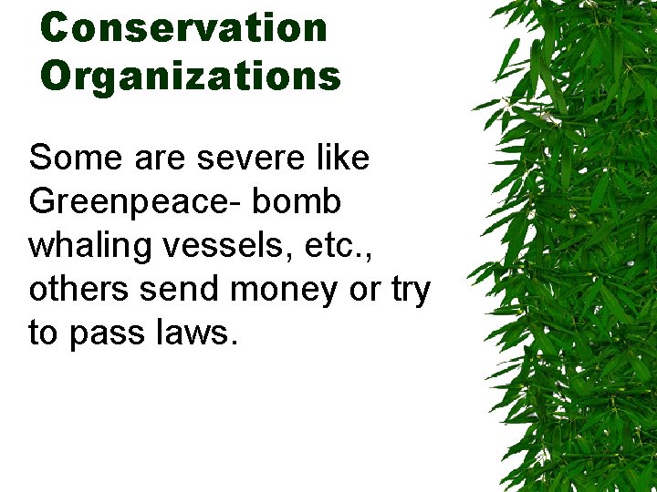Conservation Organizations Some are severe like Greenpeace- bomb whaling vessels, etc. , others send