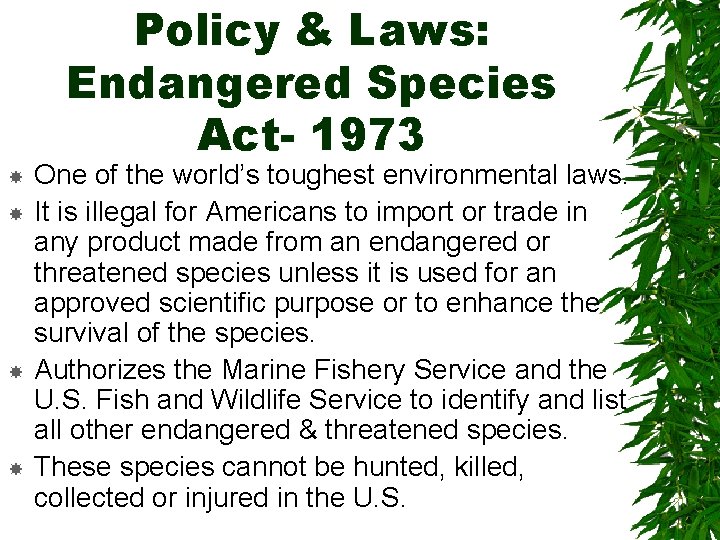Policy & Laws: Endangered Species Act- 1973 One of the world’s toughest environmental laws.