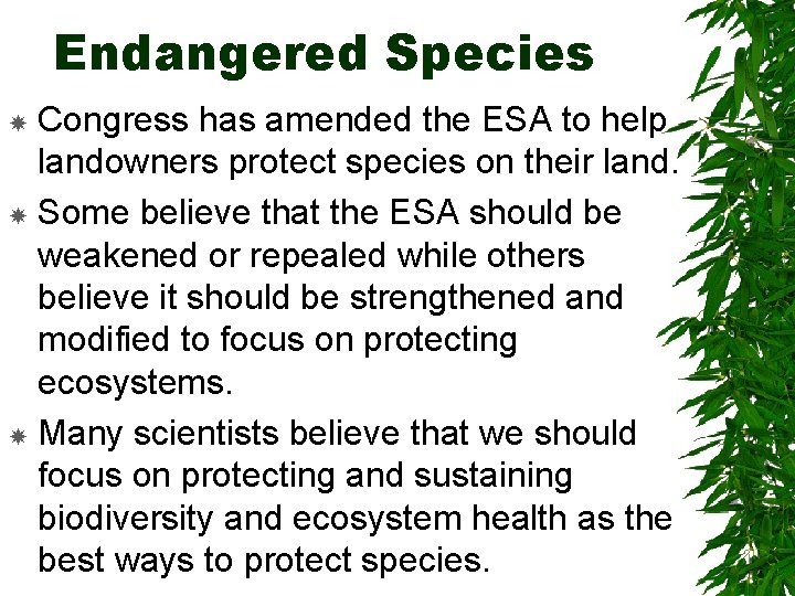 Endangered Species Congress has amended the ESA to help landowners protect species on their