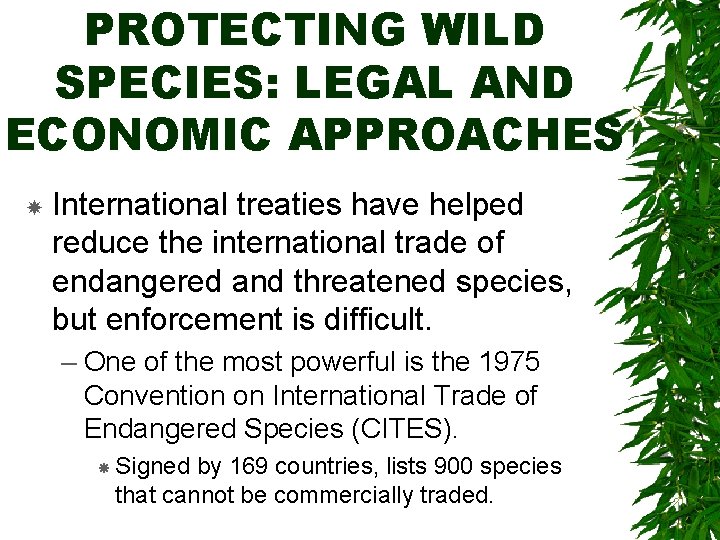 PROTECTING WILD SPECIES: LEGAL AND ECONOMIC APPROACHES International treaties have helped reduce the international