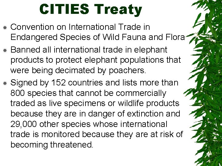 CITIES Treaty Convention on International Trade in Endangered Species of Wild Fauna and Flora
