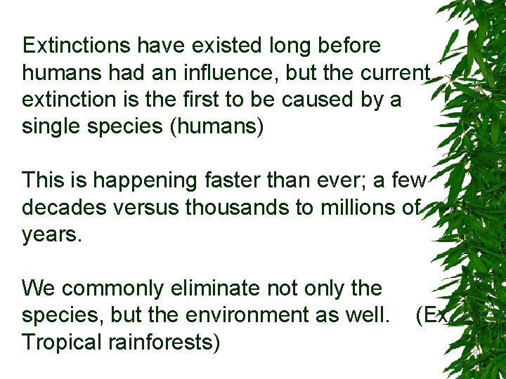 Extinctions have existed long before humans had an influence, but the current extinction is