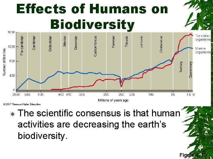 Effects of Humans on Biodiversity The scientific consensus is that human activities are decreasing