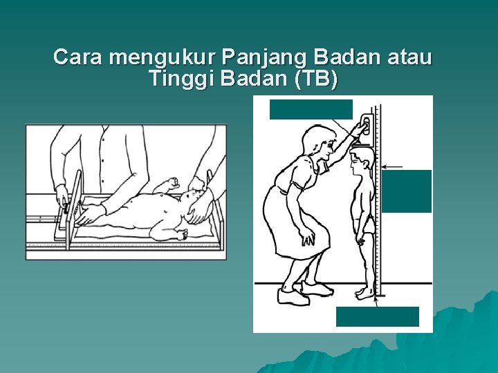 Cara mengukur Panjang Badan atau Tinggi Badan (TB) 