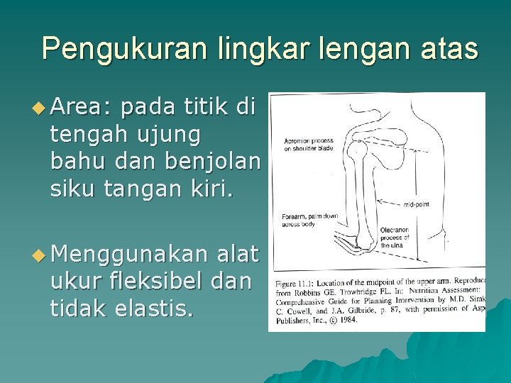 Pengukuran lingkar lengan atas u Area: pada titik di tengah ujung bahu dan benjolan