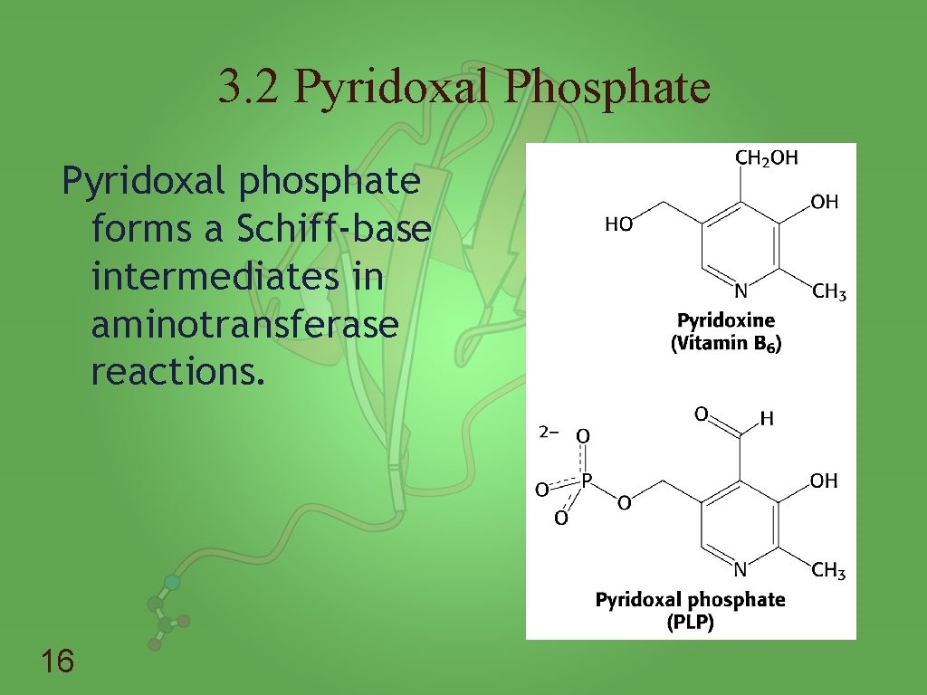 3. 2 Pyridoxal Phosphate Pyridoxal phosphate forms a Schiff-base intermediates in aminotransferase reactions. 16