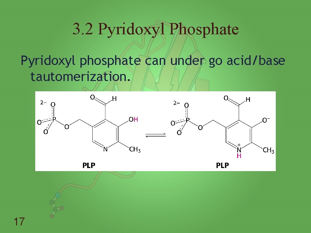 3. 2 Pyridoxyl Phosphate Pyridoxyl phosphate can under go acid/base tautomerization. 17 