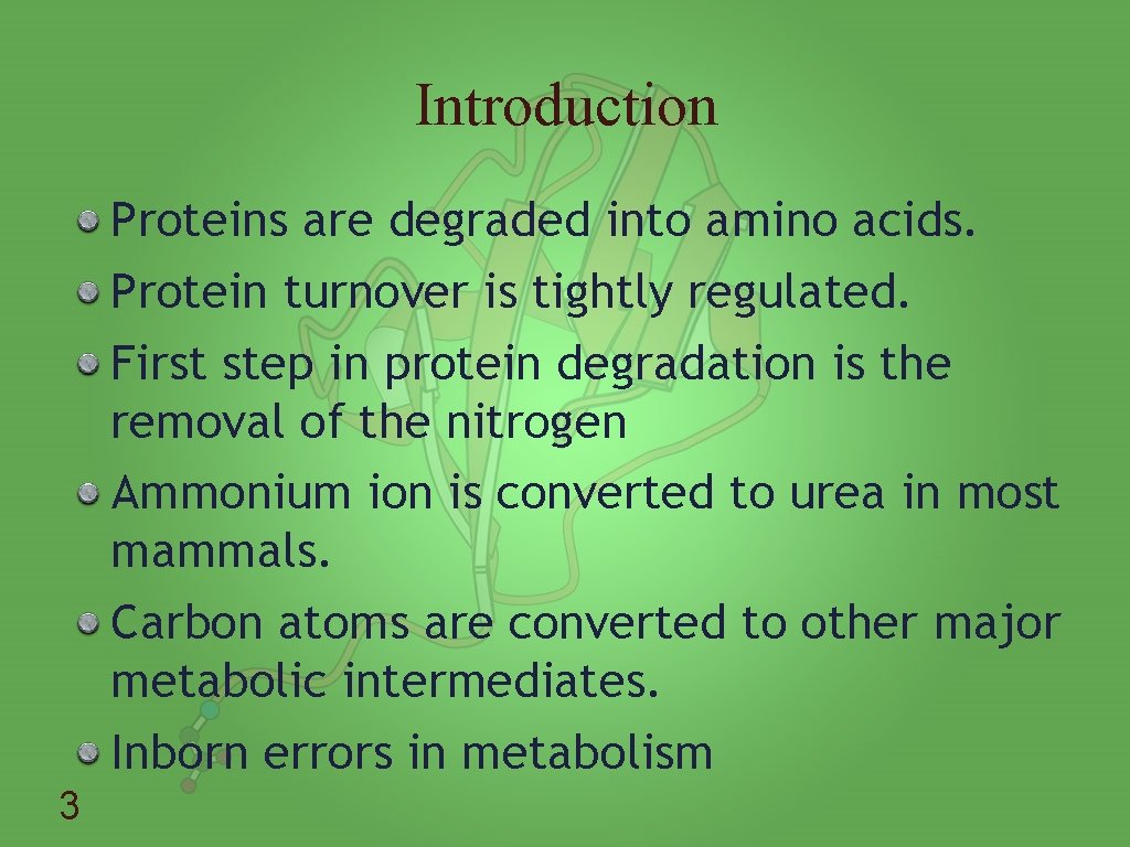 Introduction Proteins are degraded into amino acids. Protein turnover is tightly regulated. First step