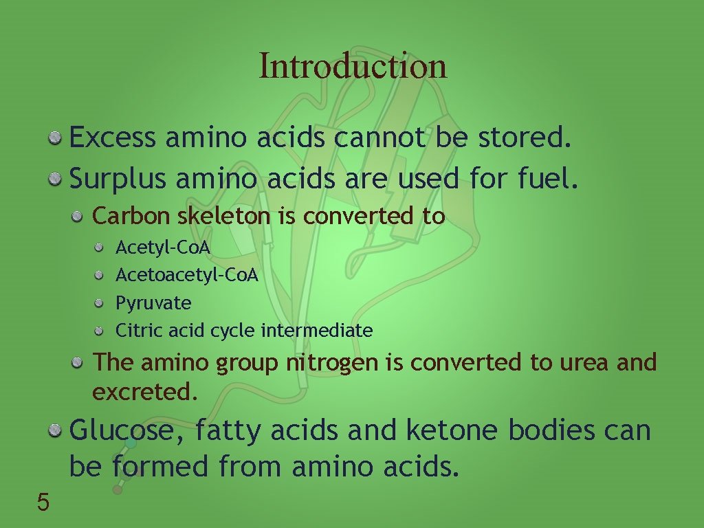 Introduction Excess amino acids cannot be stored. Surplus amino acids are used for fuel.