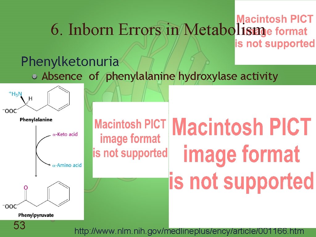 6. Inborn Errors in Metabolism Phenylketonuria Absence of phenylalanine hydroxylase activity 53 http: //www.