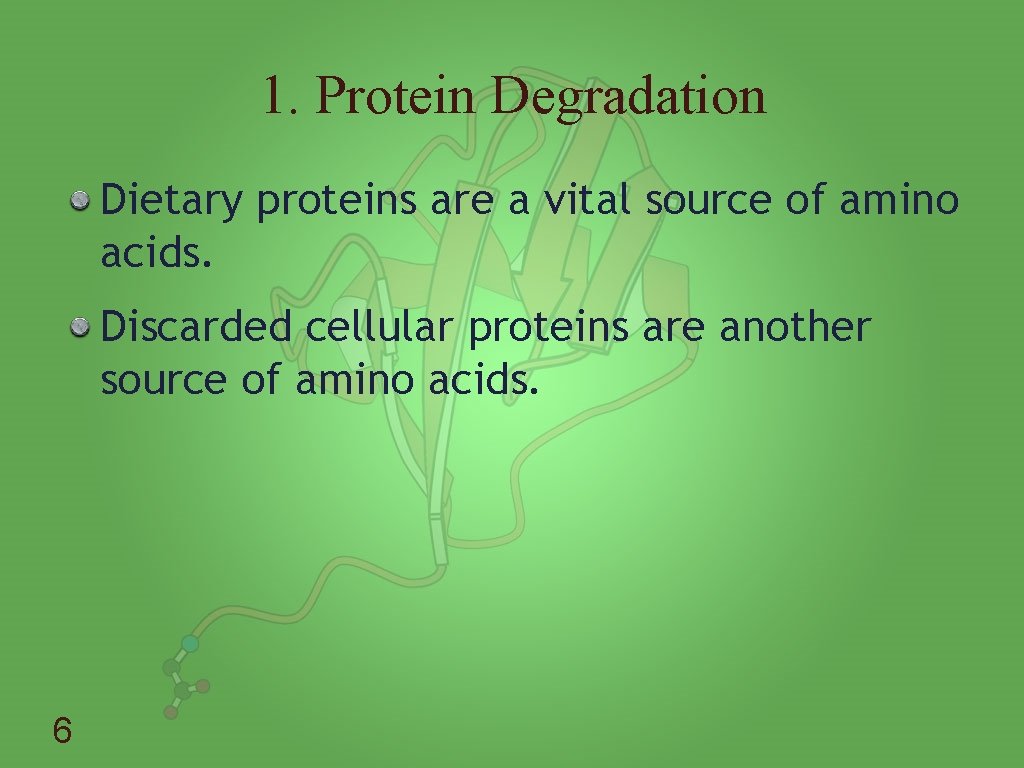 1. Protein Degradation Dietary proteins are a vital source of amino acids. Discarded cellular