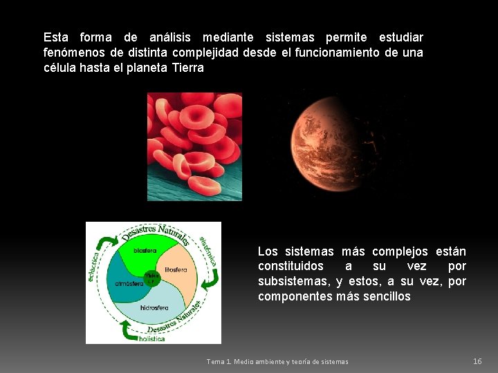 Esta forma de análisis mediante sistemas permite estudiar fenómenos de distinta complejidad desde el