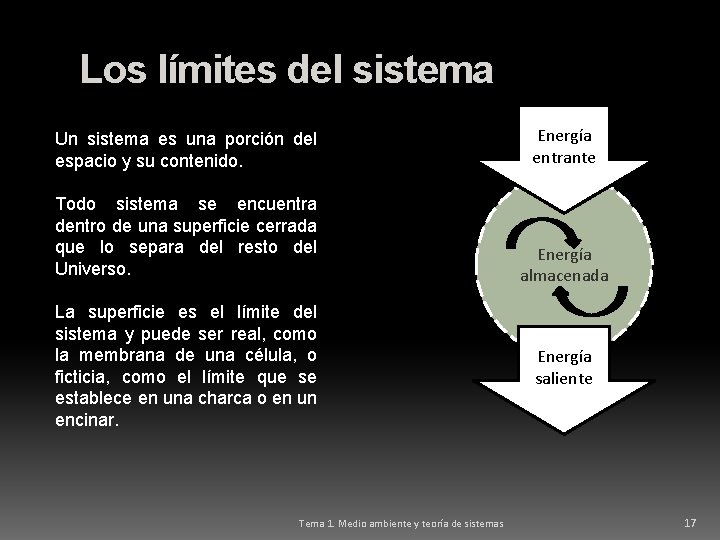 Los límites del sistema Un sistema es una porción del espacio y su contenido.