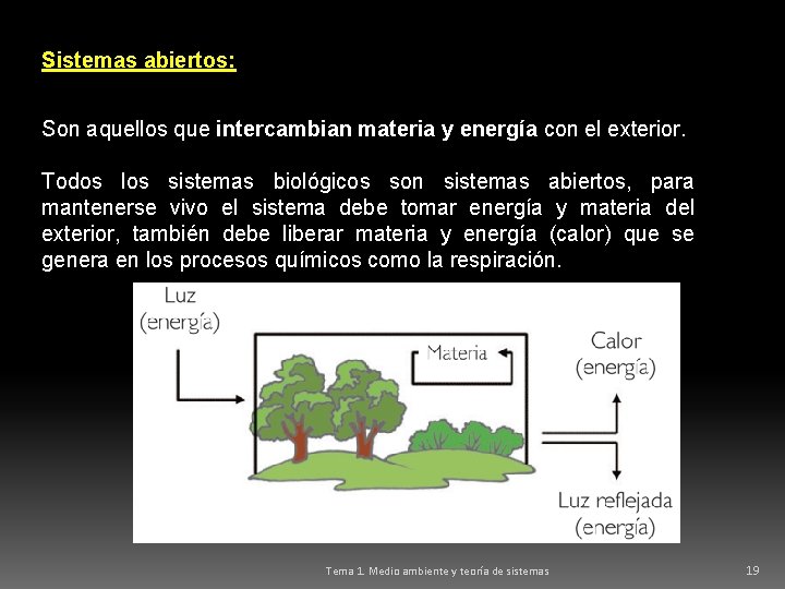 Sistemas abiertos: Son aquellos que intercambian materia y energía con el exterior. Todos los