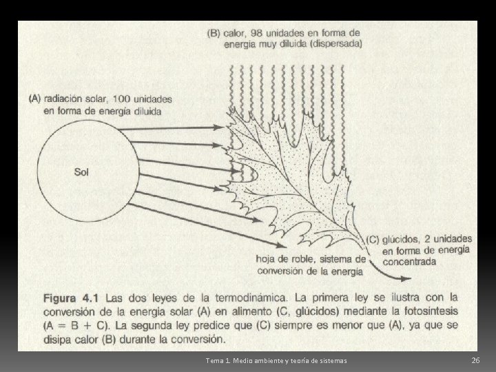 Tema 1. Medio ambiente y teoría de sistemas 26 