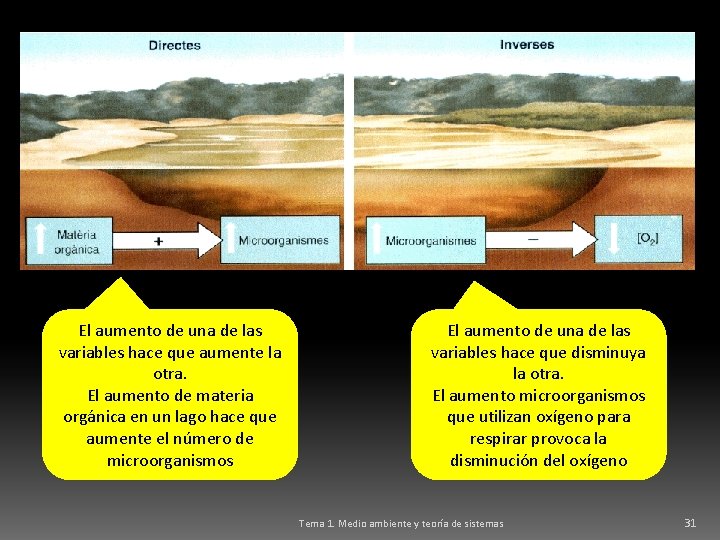 El aumento de una de las variables hace que aumente la otra. El aumento