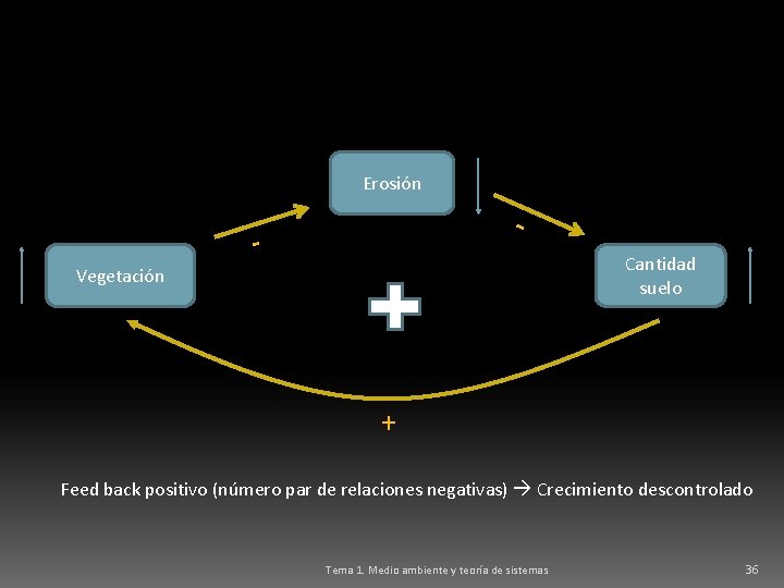 Erosión - - Cantidad suelo Vegetación + Feed back positivo (número par de relaciones