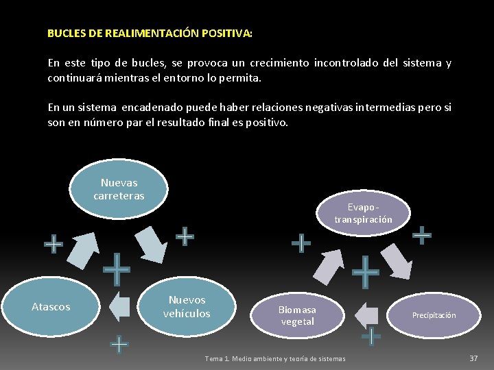 BUCLES DE REALIMENTACIÓN POSITIVA: En este tipo de bucles, se provoca un crecimiento incontrolado