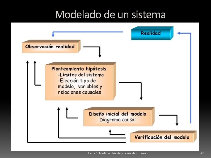 Modelado de un sistema Tema 1. Medio ambiente y teoría de sistemas 42 