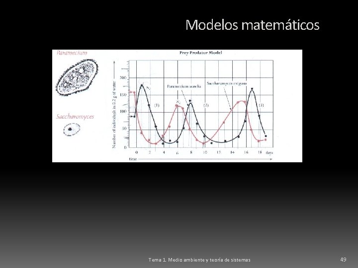 Modelos matemáticos Tema 1. Medio ambiente y teoría de sistemas 49 