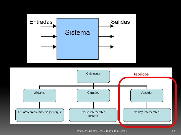 teóricos Tema 1. Medio ambiente y teoría de sistemas 57 